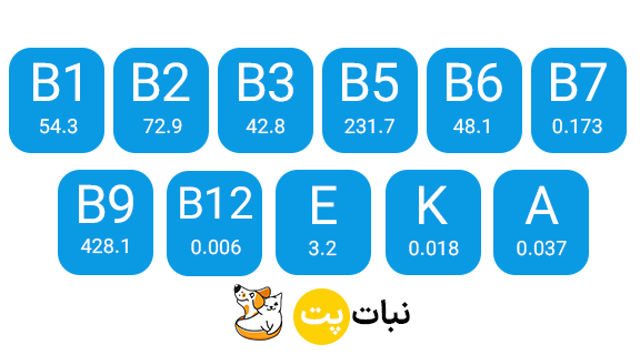 خمیر مالت رد اسپرینگ با طعم پنیر ایتالیایی نبات پت