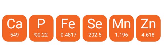 خمیر مالت رد اسپرینگ با طعم بره به همراه مولتی ویتامین سایت نبات پت