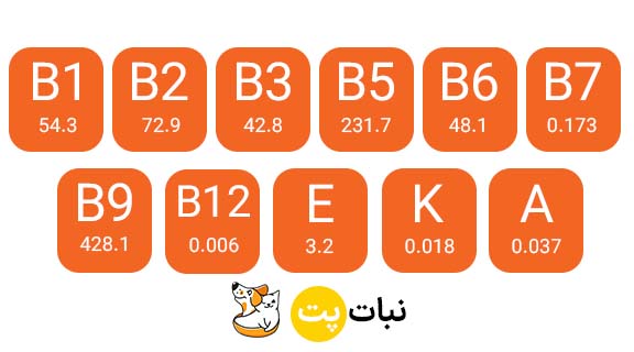 خمیر مالت رد اسپرینگ با طعم بره به همراه مولتی ویتامین سایت نبات پت
