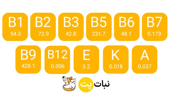 خمیر مالت رد اسپرینگ با طعم مرغ نبات پت