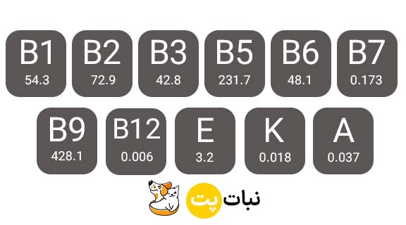 خمیر مالت رد اسپرینگ بدون طعم به همراه مولتی ویتامین سایت نبات پت
