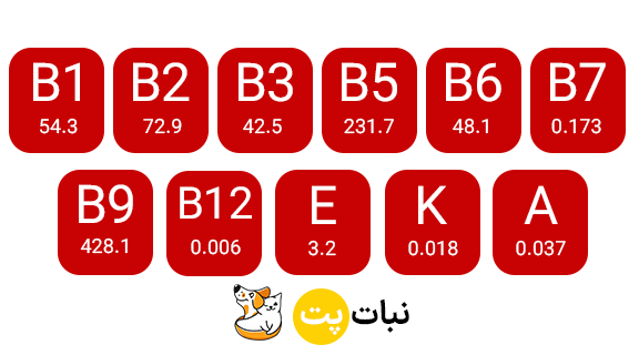 ویتامین های موجود در خمیر مالت رداسپرینگ با طعم گوساله سایت نبات پت