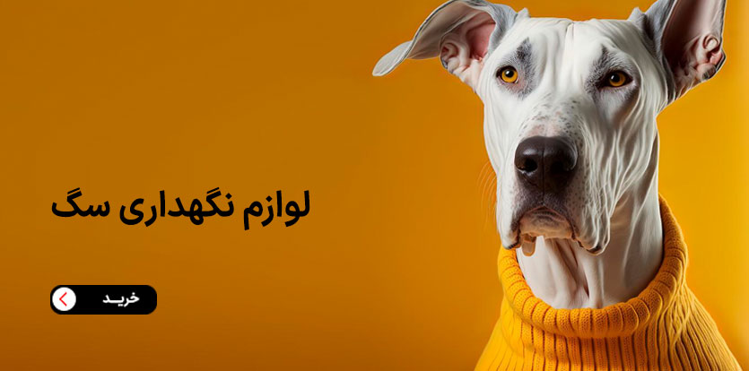 Banner01-Dog